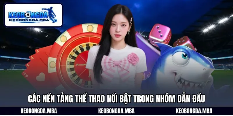 Các nền tảng thể thao nổi bật trong nhóm dẫn đầu