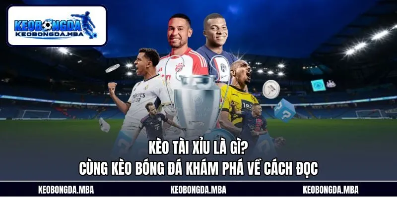 Kèo Tài Xỉu Là Gì? Cùng Kèo Bóng Đá Khám Phá Về Cách Đọc