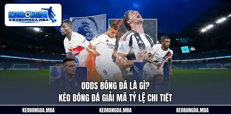 Odds Bóng Đá Là Gì? Kèo Bóng Đá Giải Mã Tỷ Lệ Chi Tiết