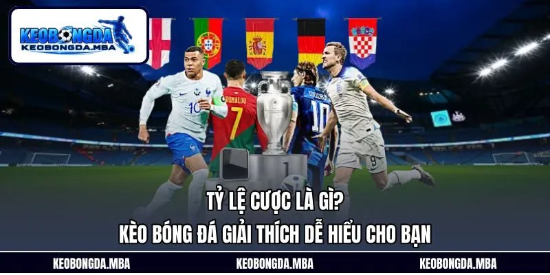 Tỷ Lệ Cược Là Gì? Kèo Bóng Đá Giải Thích Dễ Hiểu Cho Bạn